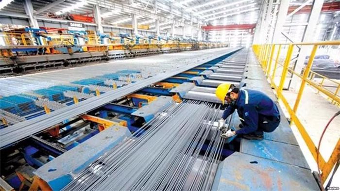 Việt Nam đối diện với nhiều vụ việc điều tra phòng vệ.