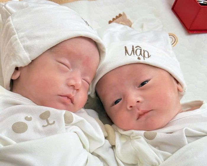 Hai bé chào đời khỏe mạnh. Ảnh: GĐCC