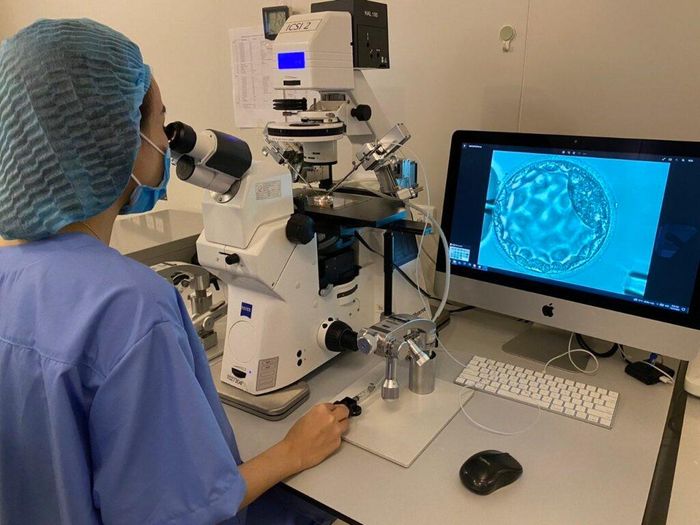 Sàng lọc di truyền tiền làm tổ là biện pháp để sinh con khỏe nếu mẹ có gene mang bệnh. Ảnh: AF.