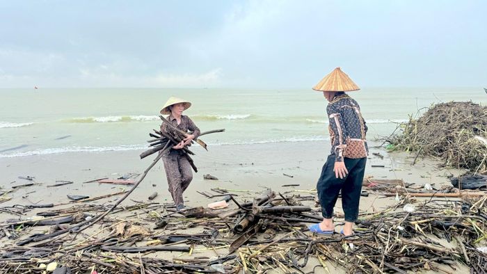 Người dân địa phương tranh thủ thu gom củi tại bãi biển
