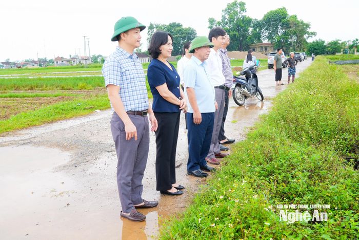 Kiểm tra sản xuất vụ đông tại xã Đô Lương. Ảnh: TL