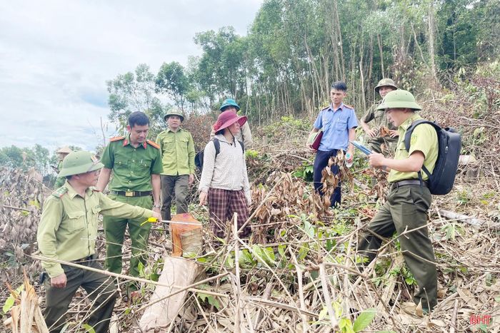 Bà Ngô Thị Lý làm việc với các lực lượng chức năng tại hiện trường rừng bị phá hoại.