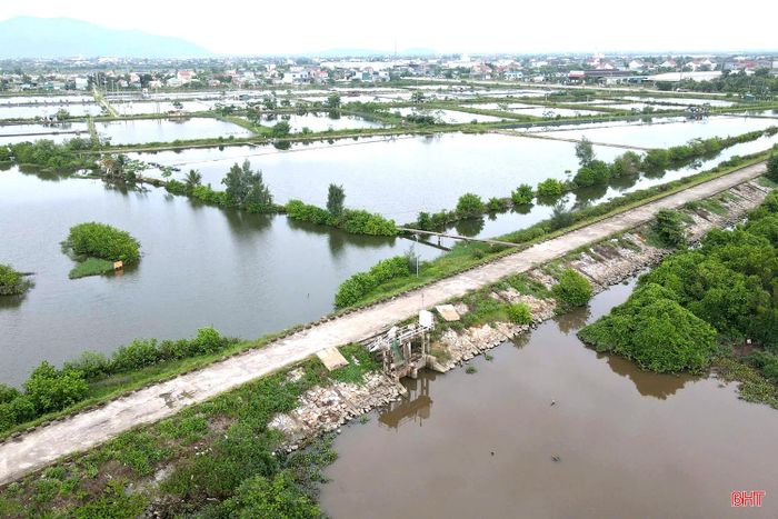 3 tuyến đê cửa sông trên địa bàn phường Trần Phú dài hơn 18,6 km như "lá chắn" bảo vệ dân cư, vùng sản xuất.