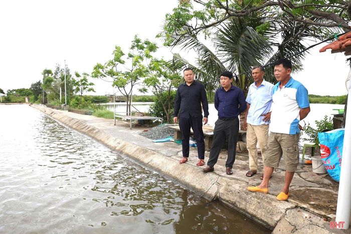 Lãnh đạo Phòng Kinh tế, Hạ tầng và Đô thị, UBND phường Trần Phú kiểm tra tại khu vực nuôi trồng thuỷ sản của HTX Nuôi trồng thuỷ sản Hà Voọc.