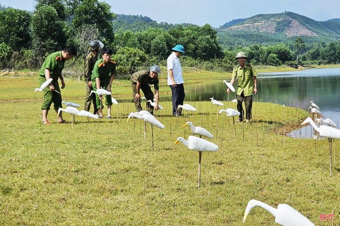 Hạt Kiểm lâm Thạch Hà phối hợp với các lực lượng chức năng thu giữ mồi cò giả để tiêu hủy.