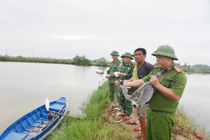 Các lực lượng chức năng tịch thu chim mồi để thả về môi trường tự nhiên.