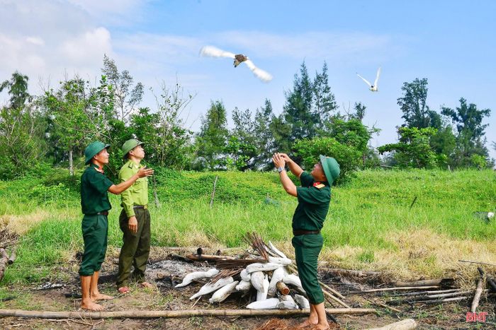 Hạt Kiểm lâm Nghi Xuân - Hồng Lĩnh phối hợp với Đồn Biên phòng Lạch Kèn phá hủy dụng cụ đơm bẫy ở xã Cổ Đạm và thả chim mồi về tự nhiên.