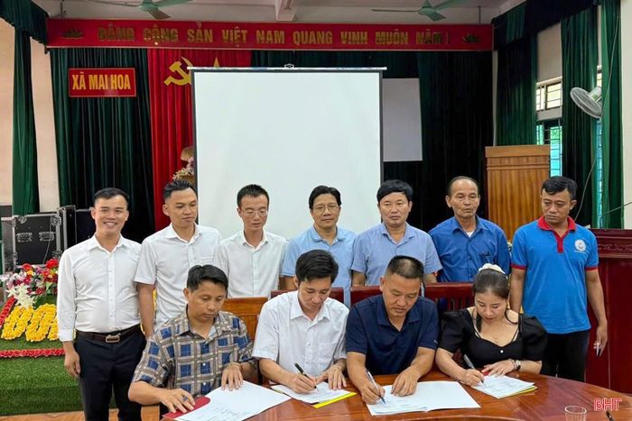 Ký kết bản ghi nhớ hợp tác liên kết sản xuất, tiêu thụ dưa chuột giữa Công ty TNHH Dưa leo quê vùng miền với UBND xã Mai Hoa và Hợp tác xã Sản xuất - Kinh doanh tổng hợp Nhật Hằng.