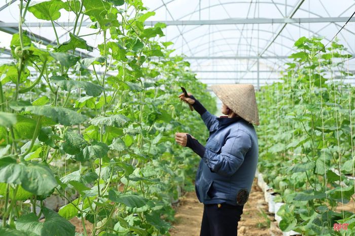 Các địa phương và người dân cần căn cứ khung thời vụ, thời gian sinh trưởng của từng giống và điều kiện thực tế để bố trí lịch gieo trồng phù hợp, giảm thiểu rủi ro do thiên tai.