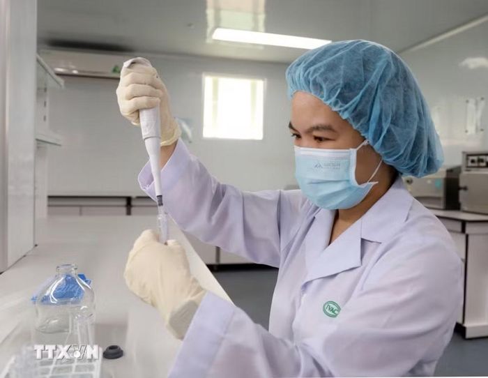 Nghiên cứu viên tại Viện Vắcxin và Sinh phẩm Y tế - Bộ Y tế (trụ sở tại tỉnh Khánh Hòa) nghiên cứu, sản xuất vaccine. (Ảnh: Xuân Triệu/TTXVN)