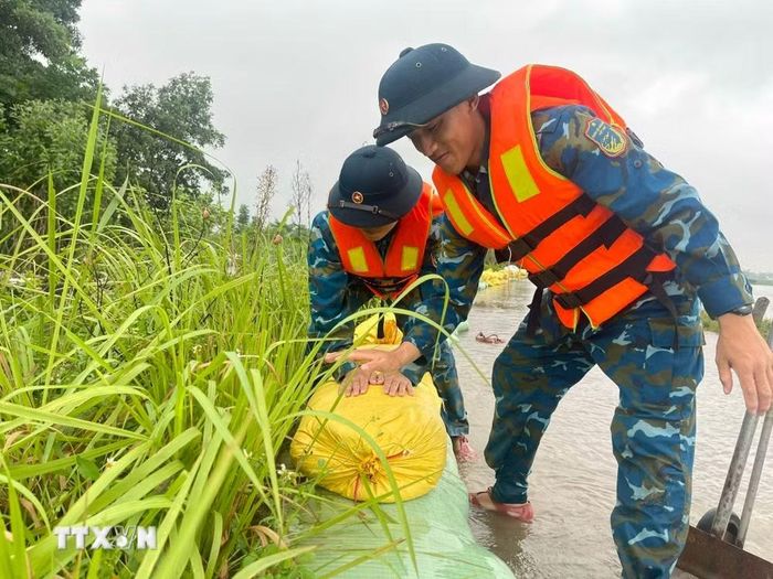Chiến sĩ Tiểu đoàn 31, Lữ đoàn 28, Quân chủng Phòng không-Không quân ứng trực, bảo vệ tuyến đê sông Bùi tại xã Trần Phú. (Ảnh: Hùng Mạnh/TTXVN)