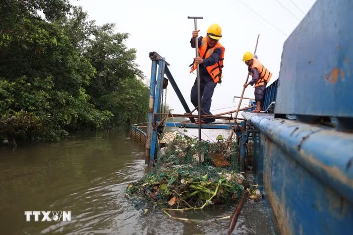 Anh Nguyễn Thanh Tùng Tự Thiện, công nhân Công ty TNHH Một thành viên Dịch vụ công ích Quận 8, vớt rác trên kênh Đôi, đoạn qua phường Phú Định. (Ảnh: Hồng Đạt/TTXVN)