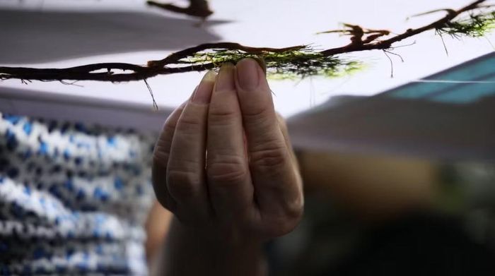 Bà Hoàng Thị Phượng yêu thích nghề thêu từ khi còn nhỏ. (Ảnh: Minh Anh/Vietnam+)