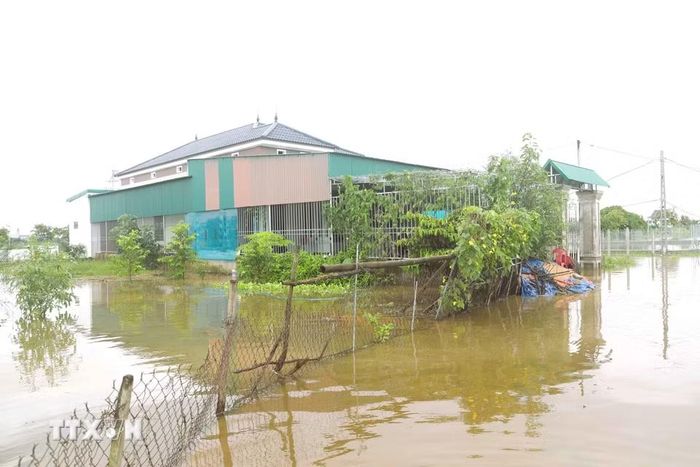 Nhà dân tạm thời bị cô lập khi tình trạng ngập úng diễn ra. (Ảnh: Xuân Tiến/TTXVN)