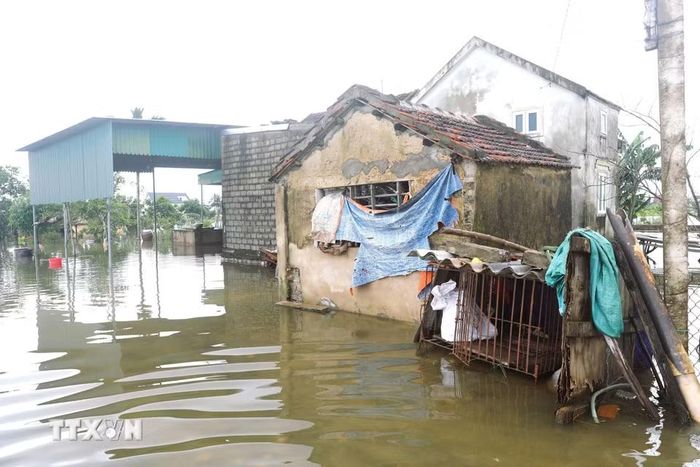 Một ngôi nhà thuộc vùng trũng trên địa bàn xã Đức Châu (Nghệ An) bị ngập sâu trong nước. (Ảnh: Xuân Tiến/TTXVN)