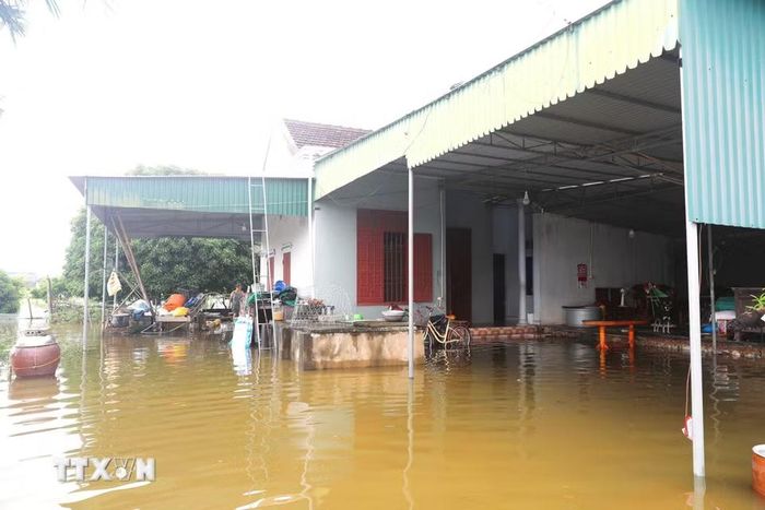 Sau mưa lớn, nước từ thượng nguồn đổ về sông Lạch Vạn nhiều kết hợp cùng với triều cường, nhiều nhà dân ở xã Đức Châu (Nghệ An) bị ngập sâu trong nước. (Ảnh: Xuân Tiến/TTXVN)