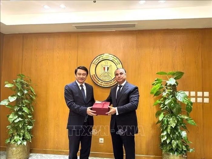 Thứ trưởng Ngoại giao Lê Anh Tuấn và Trợ lý Bộ trưởng Ngoại giao, Hợp tác quốc tế và người Ai Cập ở nước ngoài Amr Hamza. Ảnh: Hoàng Nhương/PV TTXVN tại Ai Cập
