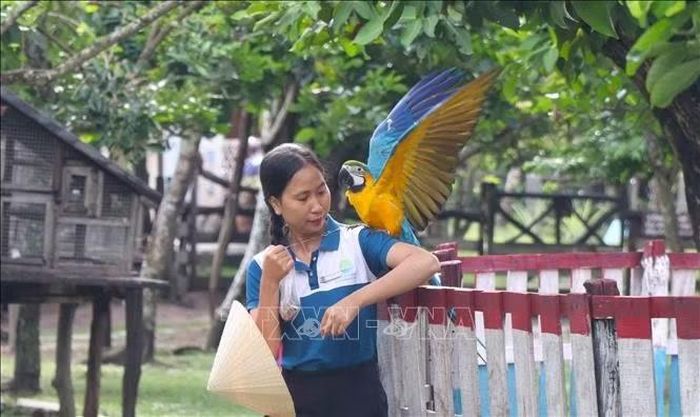 Cần Thơ hướng đến xây dựng lực lượng làm du lịch chuyên nghiệp, chất lượng cao.