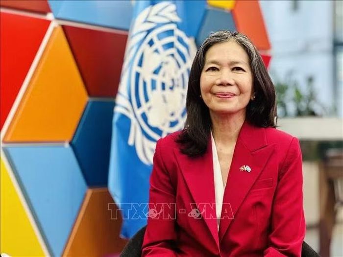 Điều phối viên thường trú của Liên hợp quốc tại Việt Nam Pauline Tamesis trả lời phỏng vấn của phóng viên Thông tấn xã Việt Nam. Ảnh: Việt Đức/TTXVN