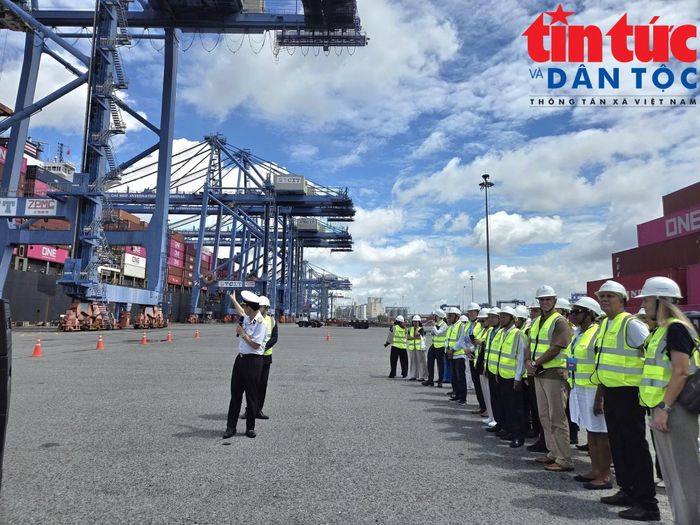 Kết nối đồng bộ giữa cảng biển, kho bãi và vận tải giúp doanh nghiệp nhập khẩu hàng hóa thuận tiện hơn.