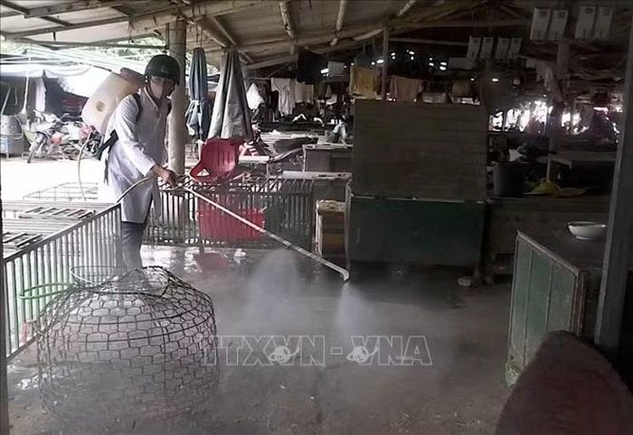 Phường Quảng Trị tổ chức phun tiêu độc khử trùng tại các chợ.