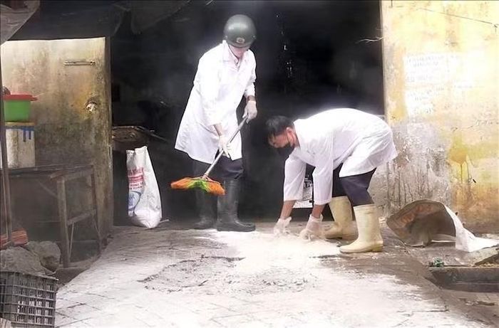Triển khai tiêu độc khử trùng tại các cơ sở chăn nuôi và giết mổ động vật tập trung.