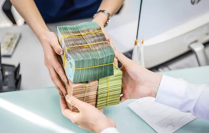 DNNVV mong được mở rộng khả năng tiếp cận vốn tín dụng.