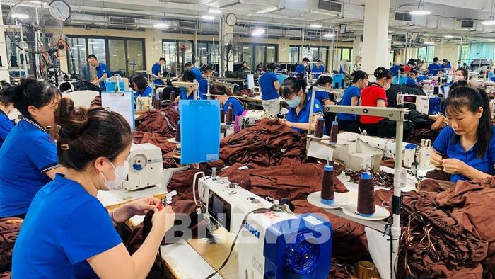Công nhân thuộc Tổng Công Ty May Hưng Yên tập trung sản xuất đơn hàng cuối năm. Ảnh: Hằng Trần/Bnews/Vnanet.vn