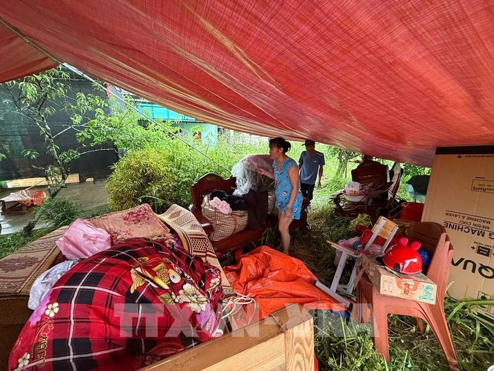 Nhiều gia đình phải sơ tán cả người và tài sản lên đê để tránh lụt. Ảnh: Hoa Mai - TTXVN