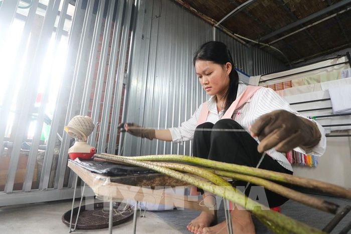 Thân sen được tận dụng để tạo nên nguồn nguyên liệu cho lụa tơ sen. Ảnh: Hồng Thái - TTXVN