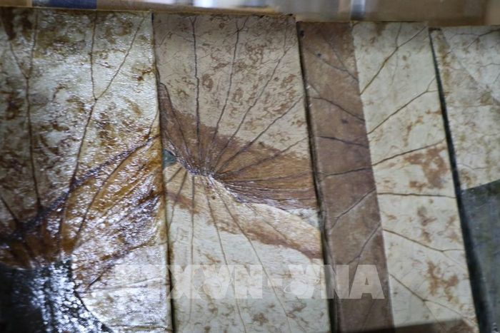 Từ nguyên liệu quen thuộc của vùng đất sen hồng, sản phẩm sen được phát triển theo hướng quà tặng và thời trang. Ảnh: Hồng Thái - TTXVN