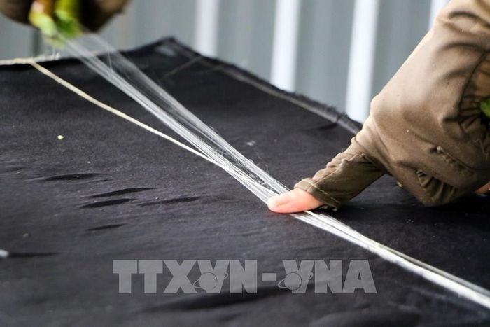 Từng sợi tơ sen mảnh, mềm được kéo ra từ thân cây sen bằng phương pháp thủ công. Ảnh: Hồng Thái - TTXVN