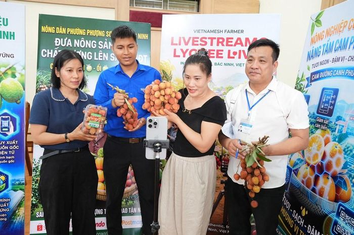 Nông dân phường Phượng Sơn, Bắc Ninh thúc đẩy tiêu thu sản phẩm nông sản trên môi trường số. Ảnh: Đồng Thúy/TTXVN