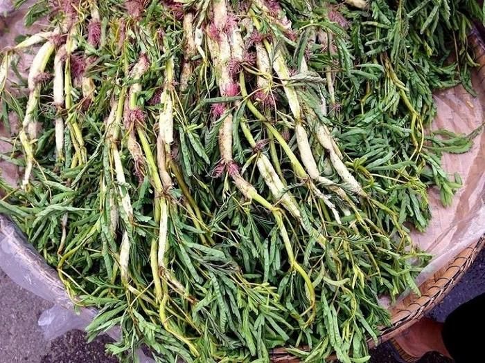 Rau rút. Ảnh: báo Dân Việt