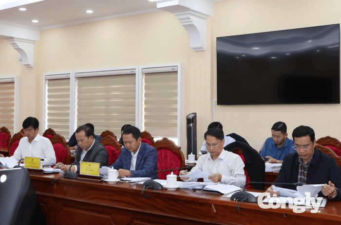 Đại diện các sở, ngành tham dự buổi làm việc.