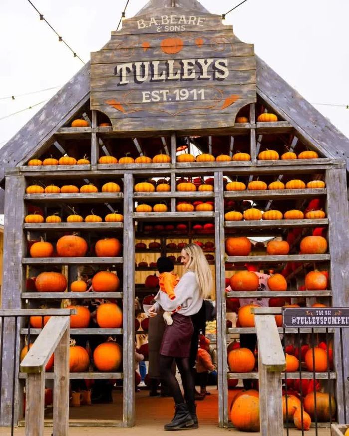 Nguồn ảnh: TULLEYS FARM