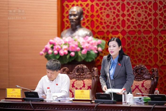 Chủ nhiệm Ủy ban Khoa học, Công nghệ và Môi trường của Quốc hội Nguyễn Thanh Hải phát biểu tại phiên họp. Ảnh: Vũ Hiếu