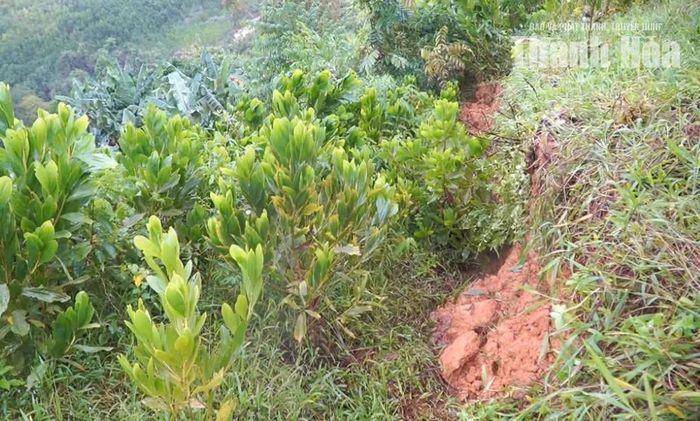 Vết nứt lớn tại độ cao khoảng 40m trên sườn đồi, kéo dài hơn 100m tại bản Trí Nang (thuộc địa phận bản En cũ).