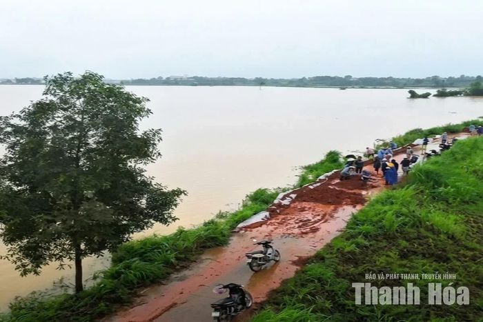 Đoạn đê bao sông Cầu Chày đang được gia cố.