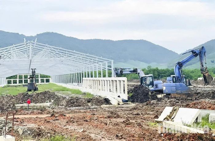 Chủ đầu tư đang tích cực đẩy nhanh tiến độ xây dựng các hạng mục của Dự án Trang trại nông nghiệp công nghệ cao - Trại gà thịt 4A tại xã Mậu Lâm.