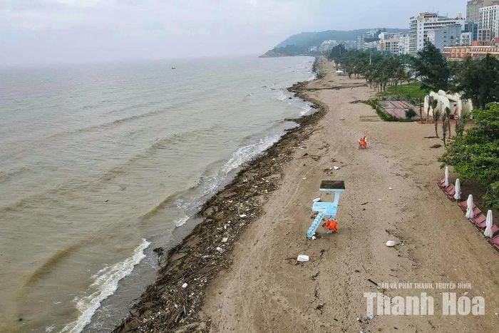 Trong ngày 18/9, UBND phường Sầm Sơn đang phối hợp với công ty môi trường và đơn vị quản lý bãi biển tập trung thu gom, vận chuyển củi, rác, xử lý vệ sinh môi trường hạn chế ảnh hưởng đến cảnh quan.