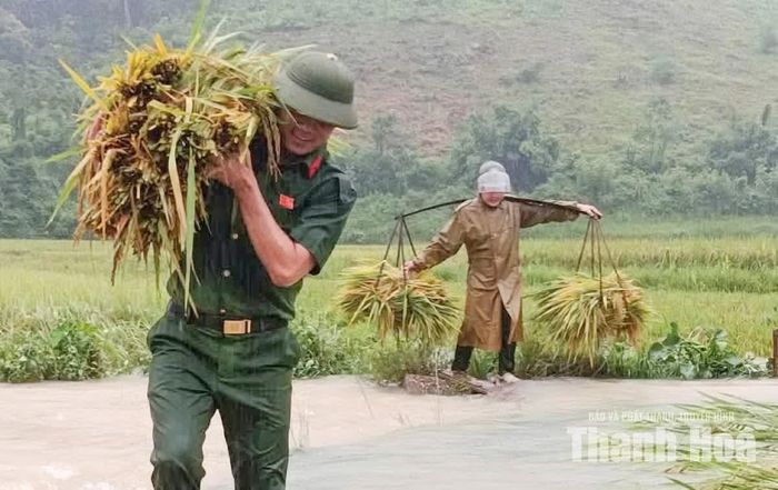 Có thời điểm mưa to, lực lượng Công an xã Điền Quang vẫn hỗ trợ người dân vận chuyển lúa lên bờ.