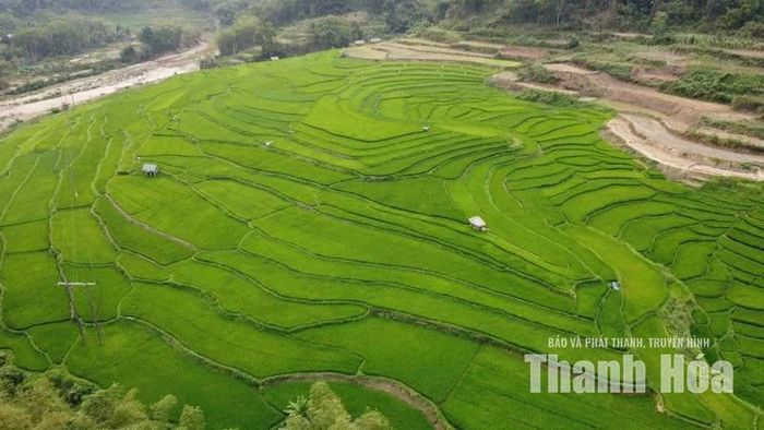 Ruộng bậc thang tại bản Ngàm.