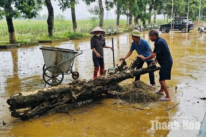 Công tác vệ sinh môi trường đang được các thôn trên địa bàn xã Tây Đô khẩn trương triển khai.