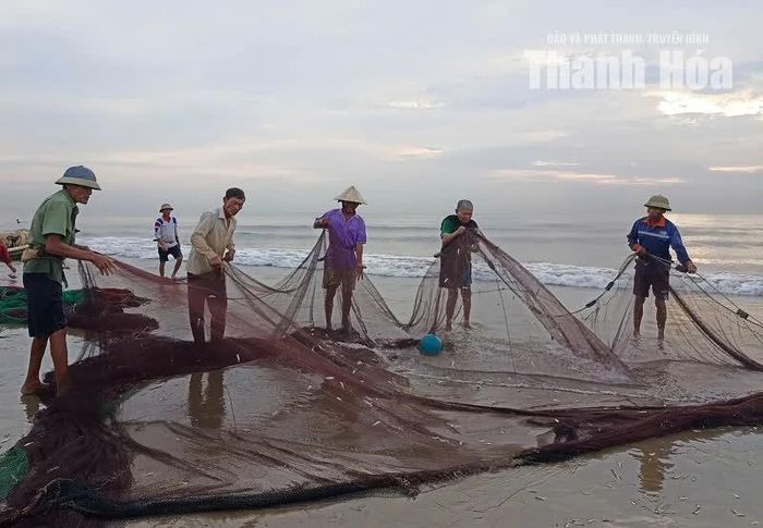 Bà con ngư dân kéo lưới vào bờ.