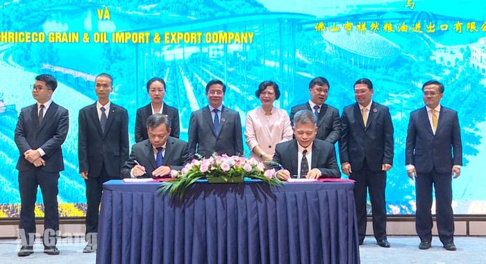 Doanh nghiệp An Giang ký kết biên bản ghi nhớ hợp tác với doanh nghiệp Trung Quốc.