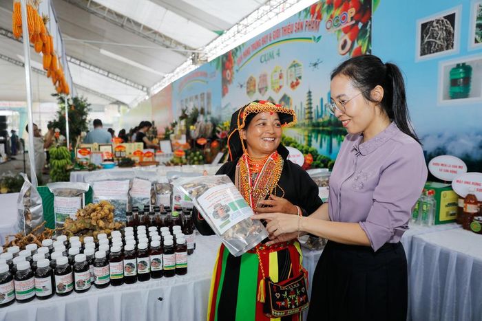 Khách chọn mua các sản phẩm thuốc gia truyền của đồng bào dân tộc do Hợp tác xã Du lịch cộng đồng người Dao, bản Mậu, xã Tây Yên Tử (Bắc Ninh) sản xuất.