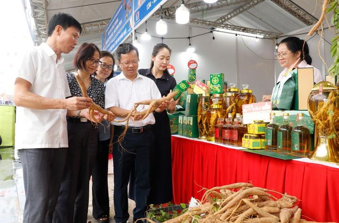 Hội chợ có quy mô hơn 220 gian hàng, hơn 200 đơn vị, doanh nghiệp với hàng nghìn sản phẩm nông sản, OCOP, thủ công mỹ nghệ, thời trang, thảo dược... Ảnh: Khách tham quan, mua sắm sản phẩm chế biến từ Sâm Núi Dành của Hợp tác xã Nông nghiệp hữu cơ Bảo An, xã Bảo Đài (Bắc Ninh).