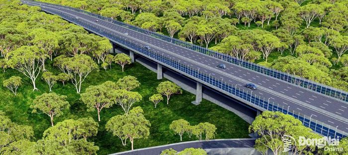 Phối cảnh cầu Mã Đà. Ảnh: NĐT cung cấp