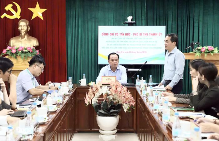 Ủy viên Ban Thường vụ Thành ủy, Phó Chủ tịch UBND thành phố Lê Trường Sơn phát biểu tại buổi làm việc. Ảnh: My Ny